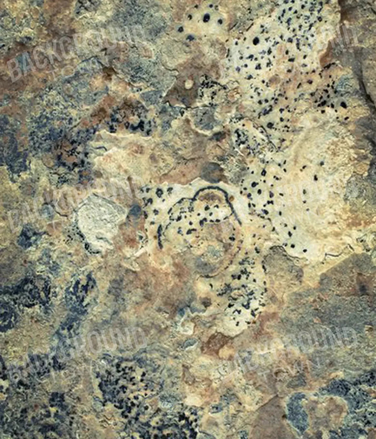 Quarry 10X12 Ultracloth ( 120 X 144 Inch ) Backdrop