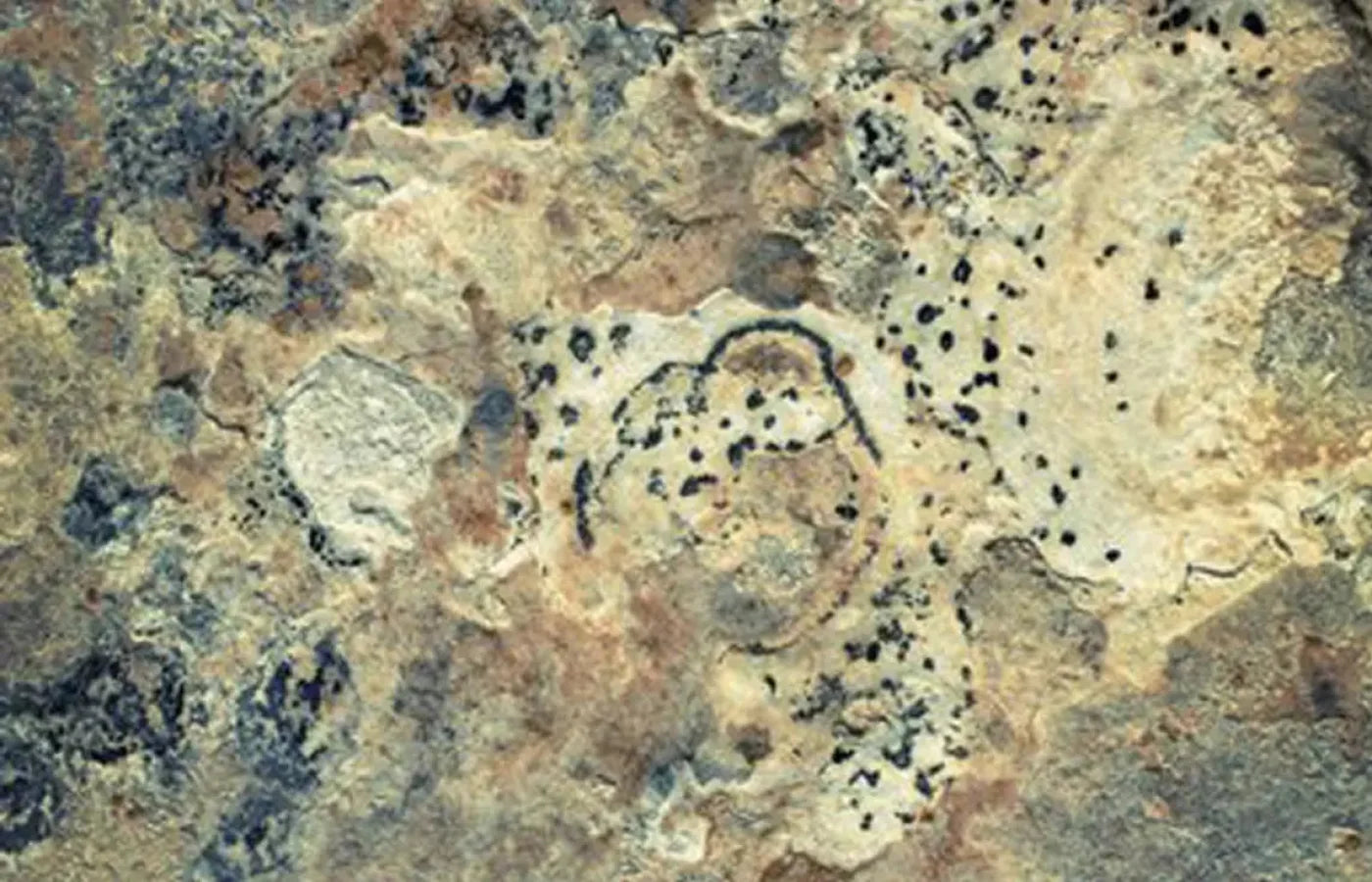 Quarry 12X8 Ultracloth ( 144 X 96 Inch ) Backdrop