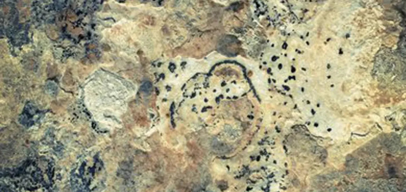 Quarry 16X8 Ultracloth ( 192 X 96 Inch ) Backdrop