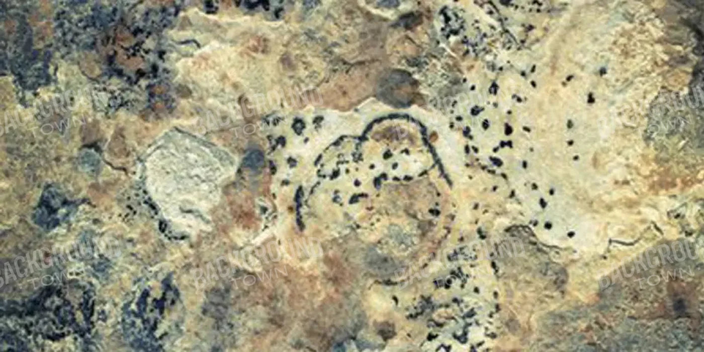 Quarry 20X10 Ultracloth ( 240 X 120 Inch ) Backdrop