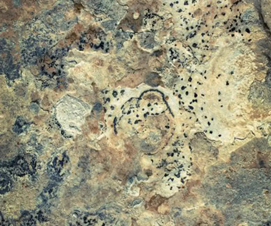 Quarry 5X42 Fleece ( 60 X 50 Inch ) Backdrop