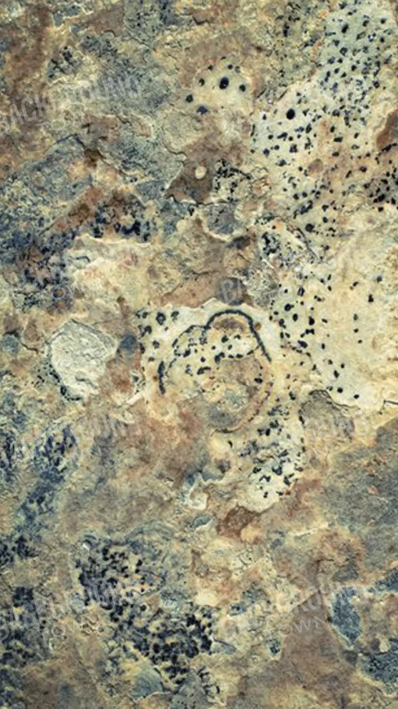 Quarry 8X14 Ultracloth ( 96 X 168 Inch ) Backdrop