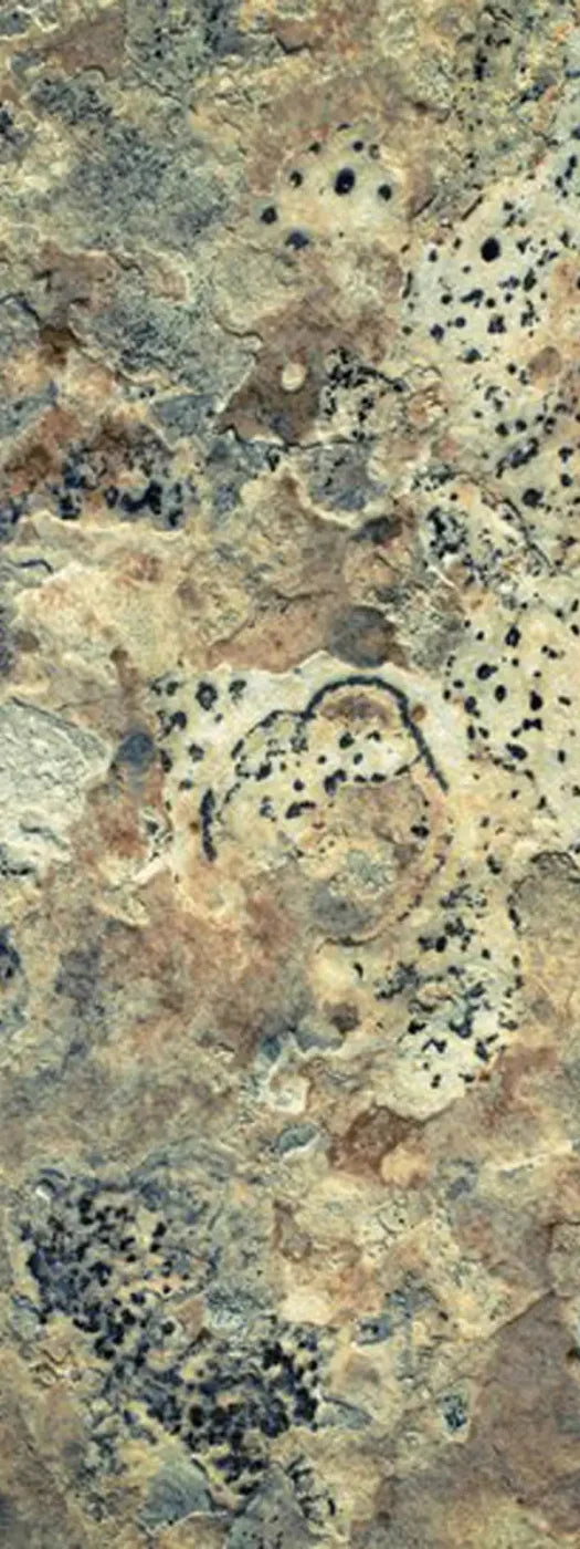 Quarry 8X20 Ultracloth ( 96 X 240 Inch ) Backdrop