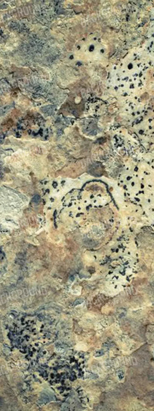 Quarry 8X20 Ultracloth ( 96 X 240 Inch ) Backdrop