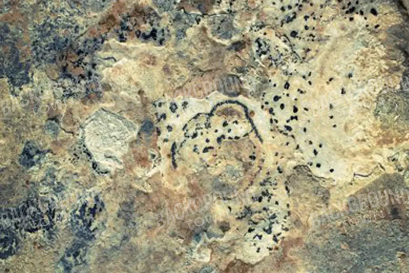 Quarry 8X5 Ultracloth ( 96 X 60 Inch ) Backdrop