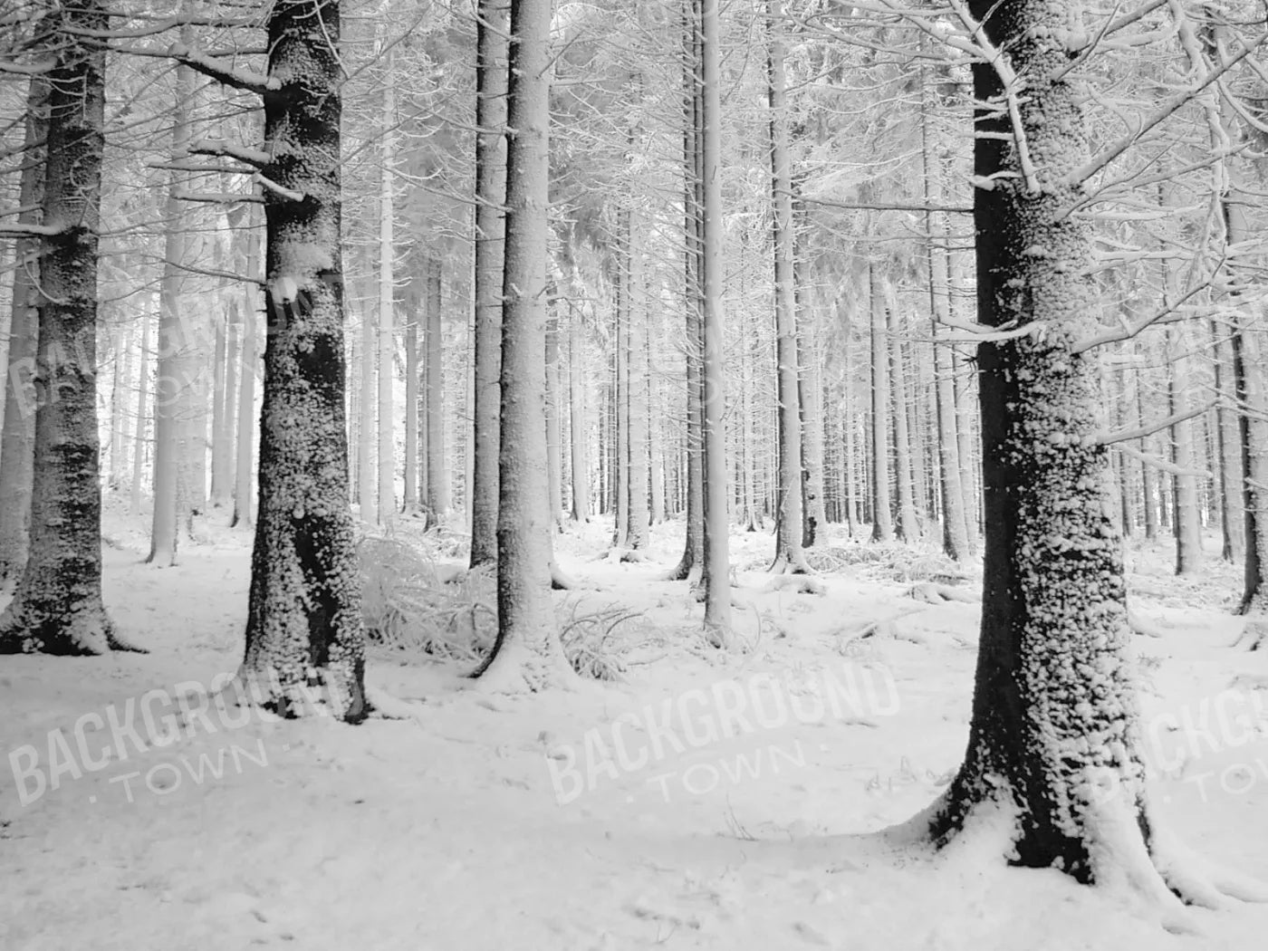 Quiet Winter Walk 10X8 Fleece ( 120 X 96 Inch ) Backdrop