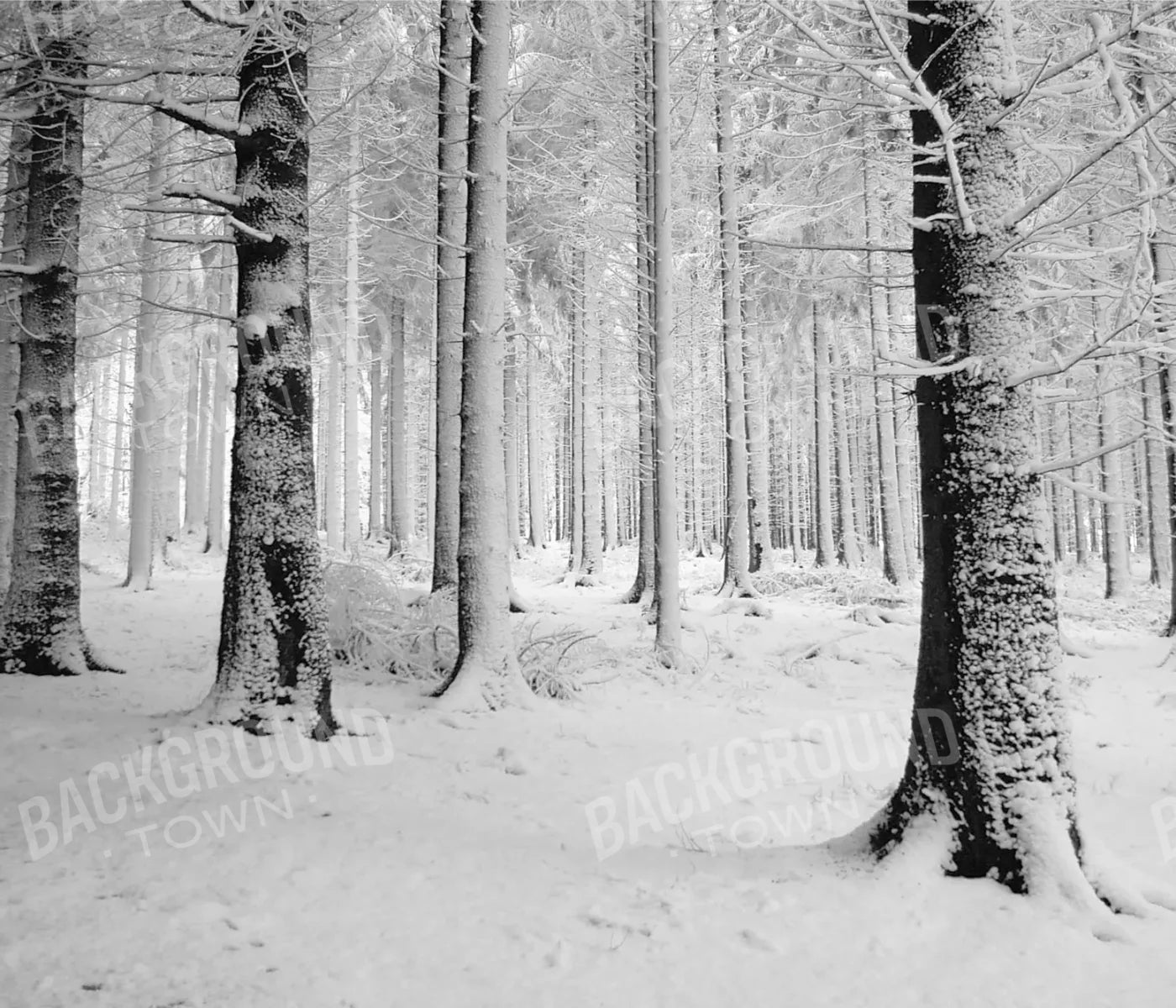 Quiet Winter Walk 12X10 Ultracloth ( 144 X 120 Inch ) Backdrop