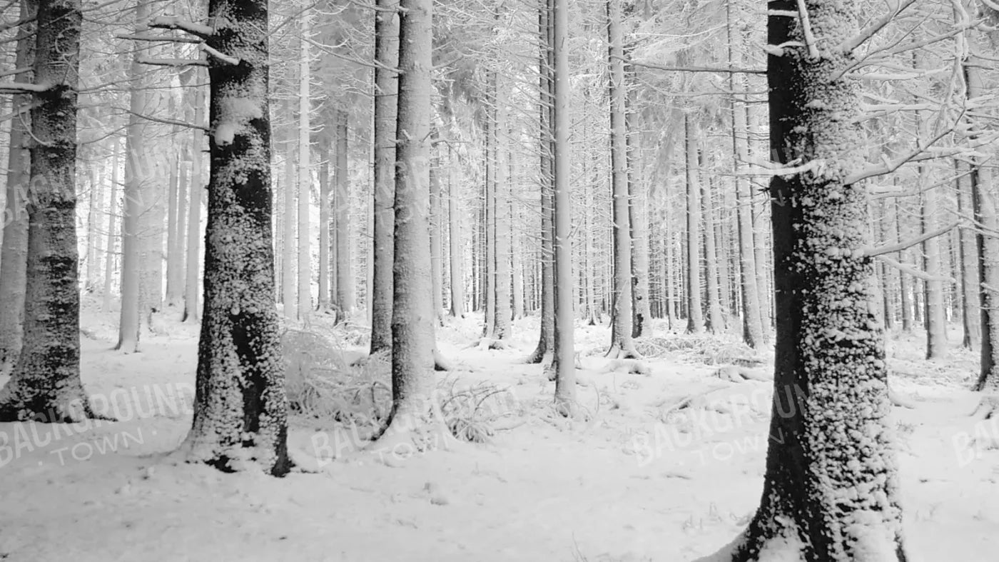 Quiet Winter Walk 14X8 Ultracloth ( 168 X 96 Inch ) Backdrop