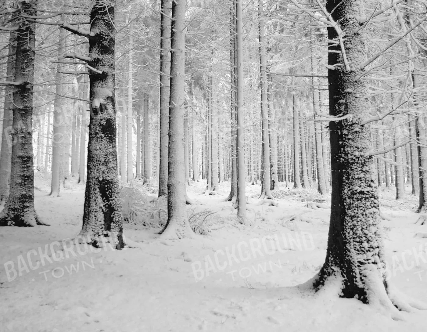 Quiet Winter Walk 8X6 Fleece ( 96 X 72 Inch ) Backdrop
