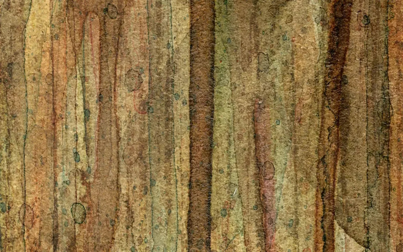 Quirky 14X9 Ultracloth ( 168 X 108 Inch ) Backdrop