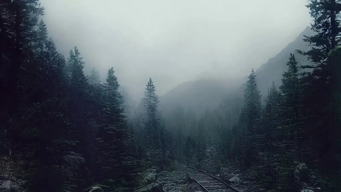 Railroad Haze 14X8 Ultracloth ( 168 X 96 Inch ) Backdrop