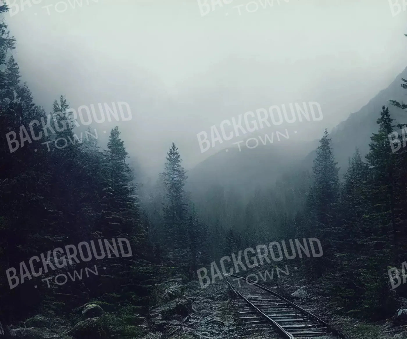 misty forest Backdrop for Photography
