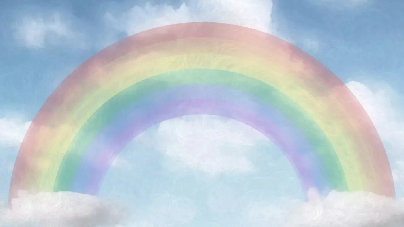 Rainbow 14X8 Ultracloth ( 168 X 96 Inch ) Backdrop