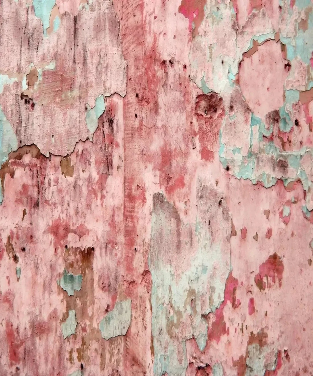 Pink Urban Grunge Backdrop for Photography
