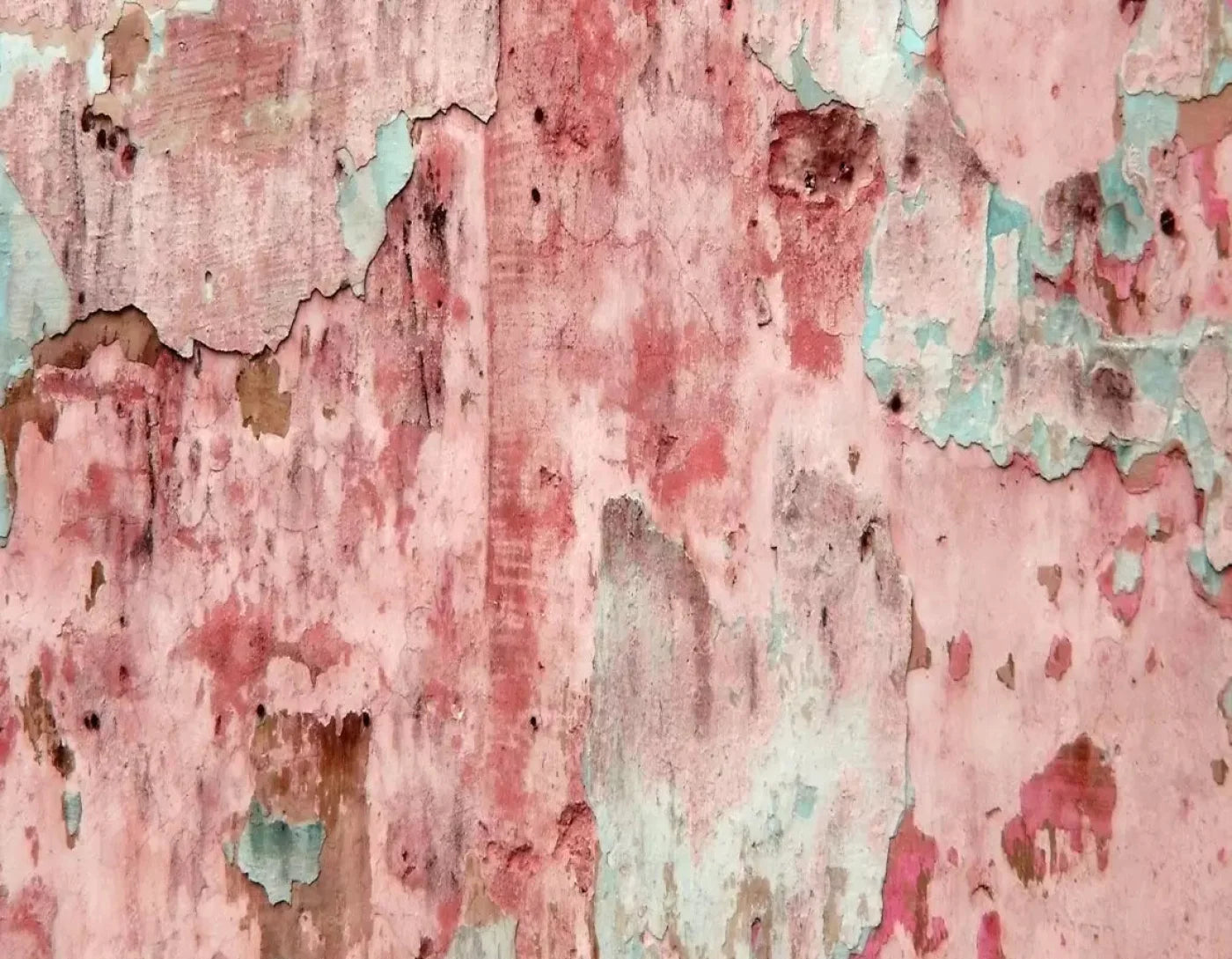 Ramona 8X6 Fleece ( 96 X 72 Inch ) Backdrop