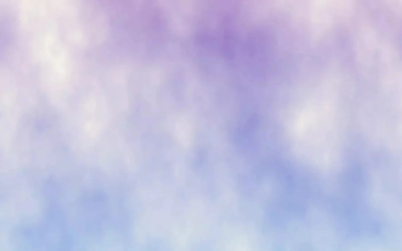 Randi 14X9 Ultracloth ( 168 X 108 Inch ) Backdrop