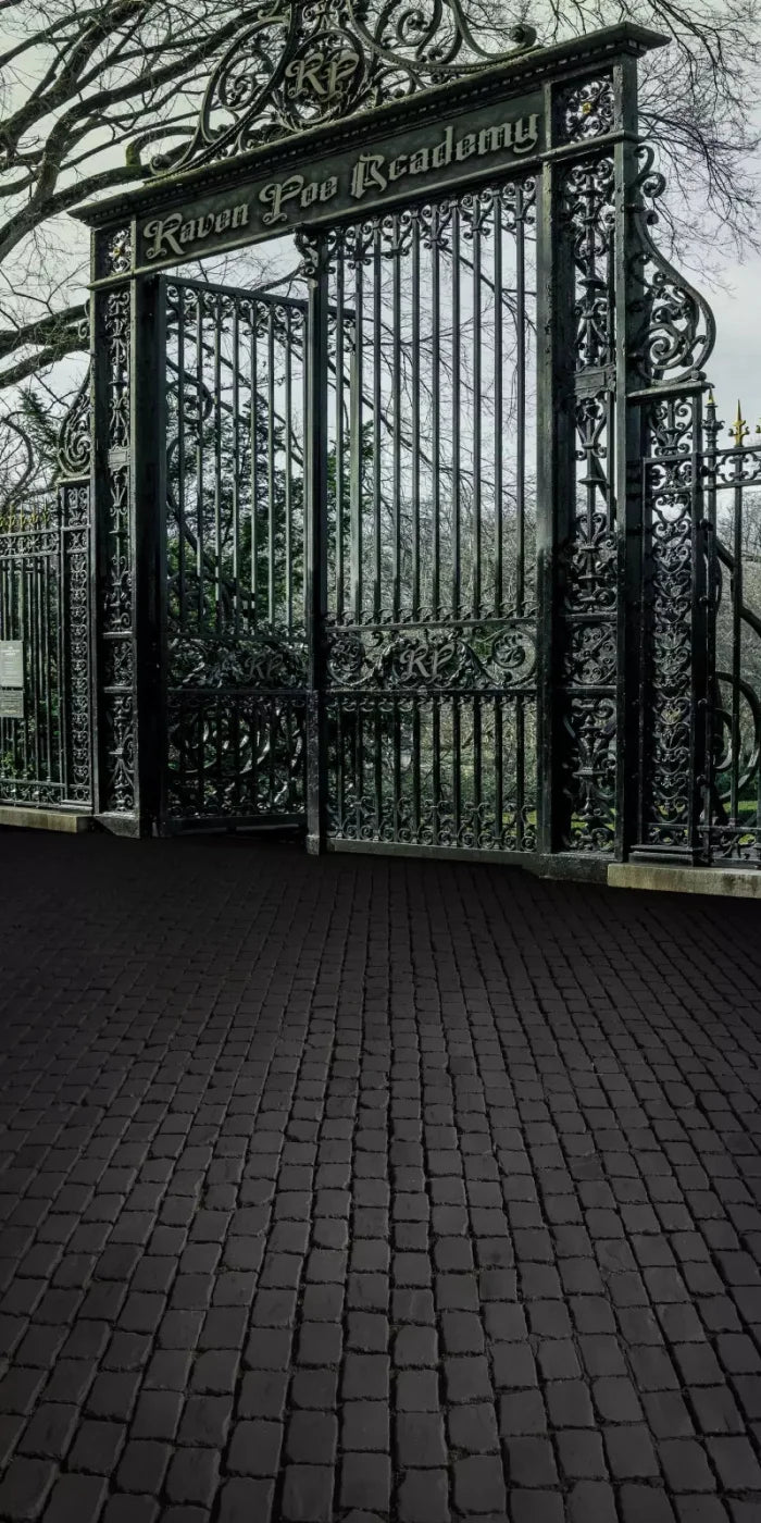 Raven Poe Academy Gate 10X20 Ultracloth ( 120 X 240 Inch ) Backdrop