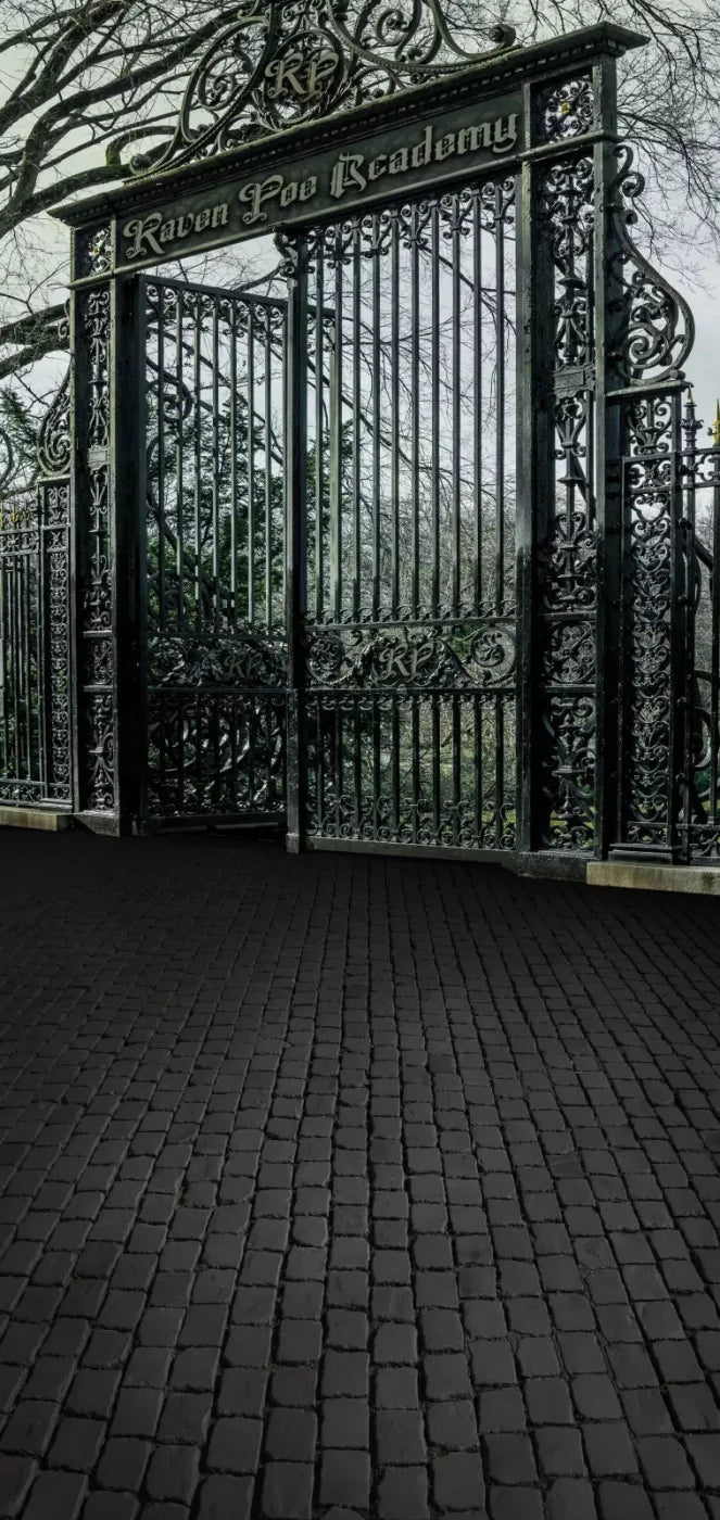 Raven Poe Academy Gate 8X16 Ultracloth ( 96 X 192 Inch ) Backdrop