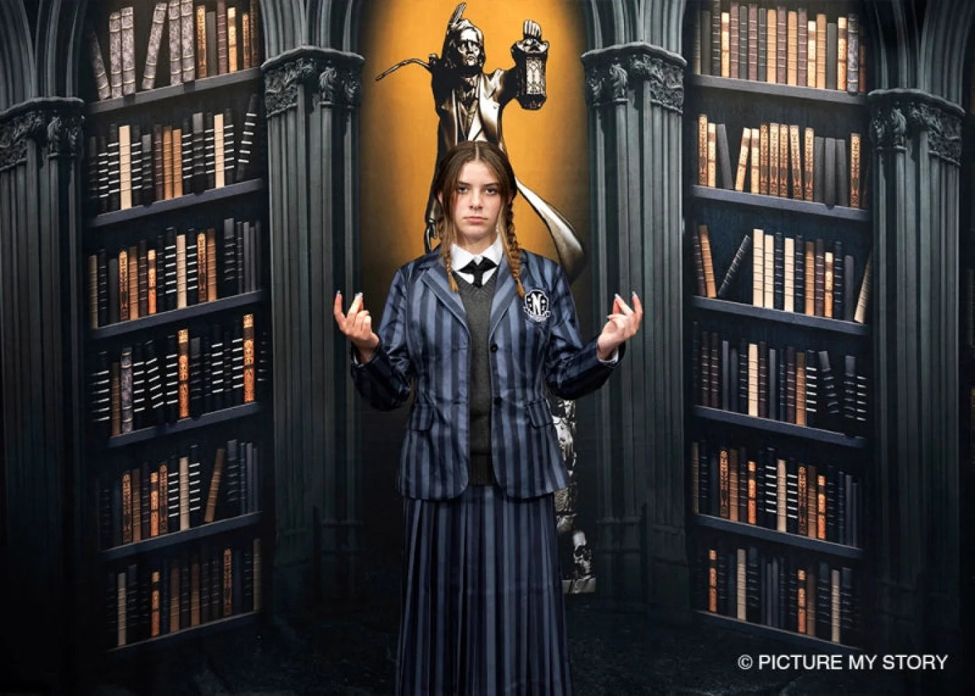 Library Backdrop for Photography
