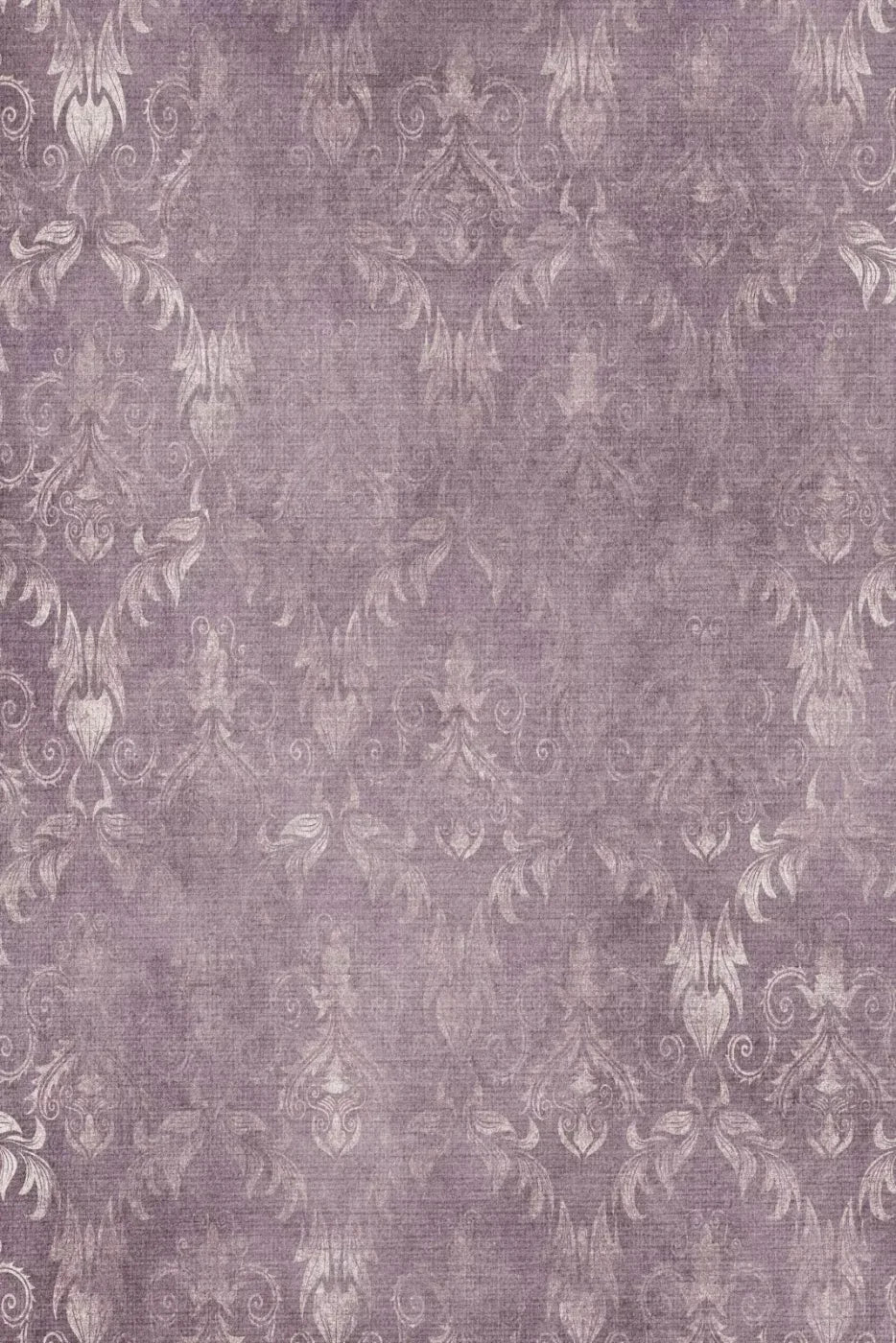 Rayna Backdrop