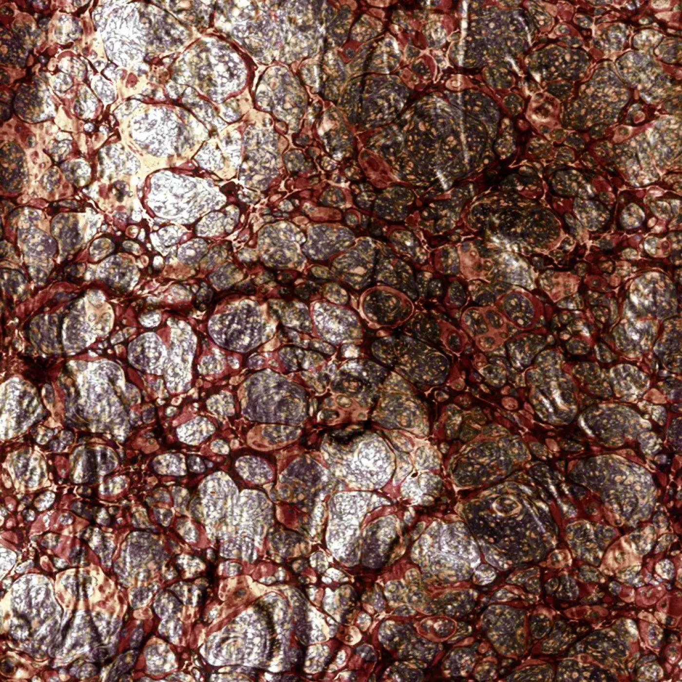 Recant 10X10 Ultracloth ( 120 X Inch ) Backdrop
