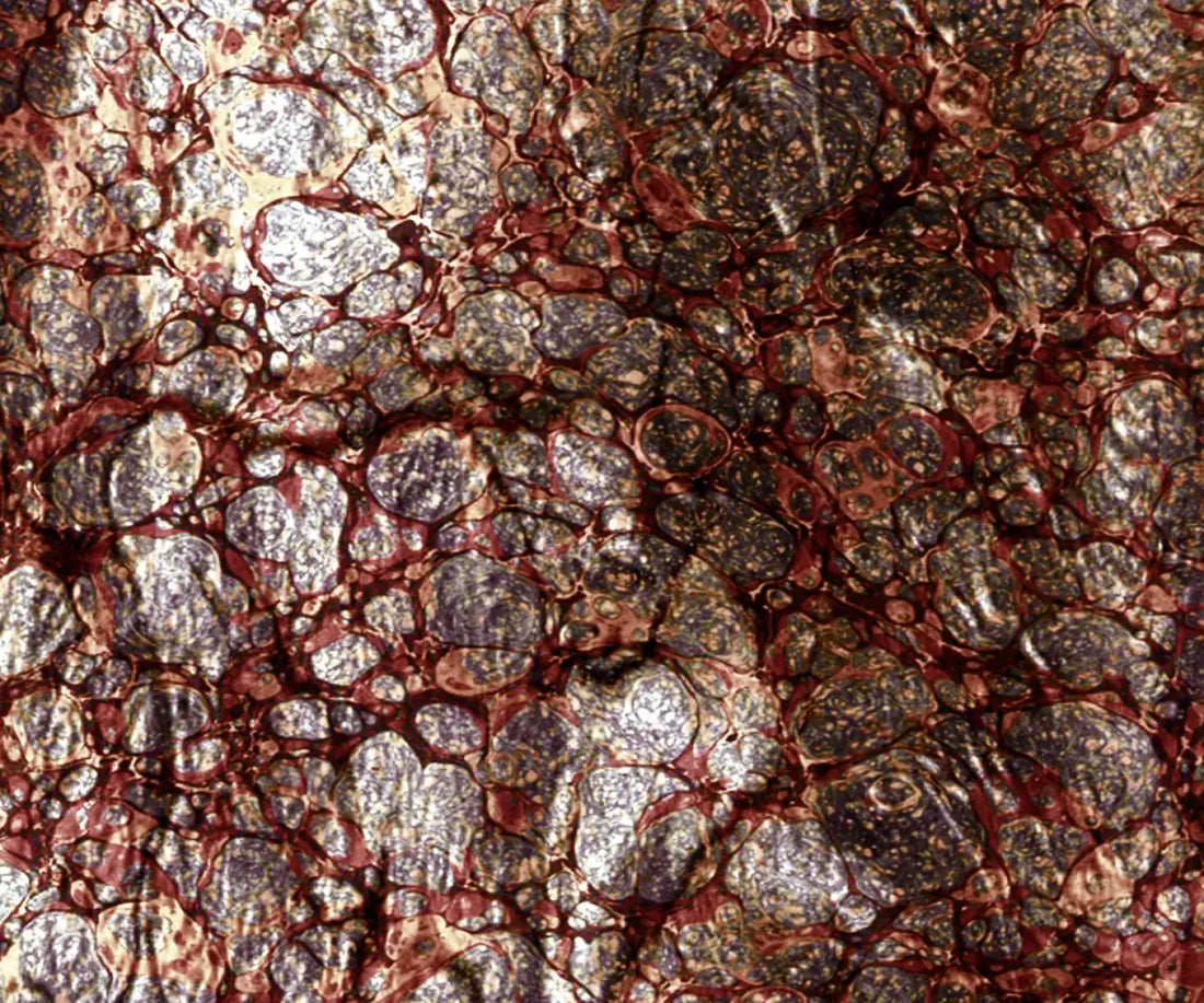 Recant 5X42 Fleece ( 60 X 50 Inch ) Backdrop