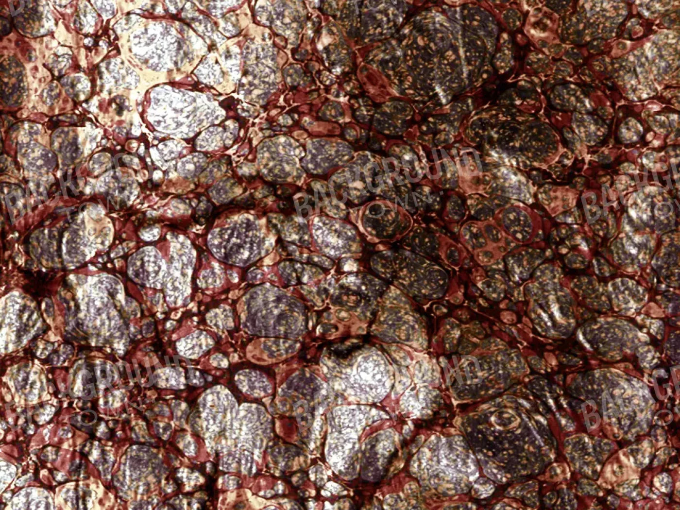 Recant 68X5 Fleece ( 80 X 60 Inch ) Backdrop