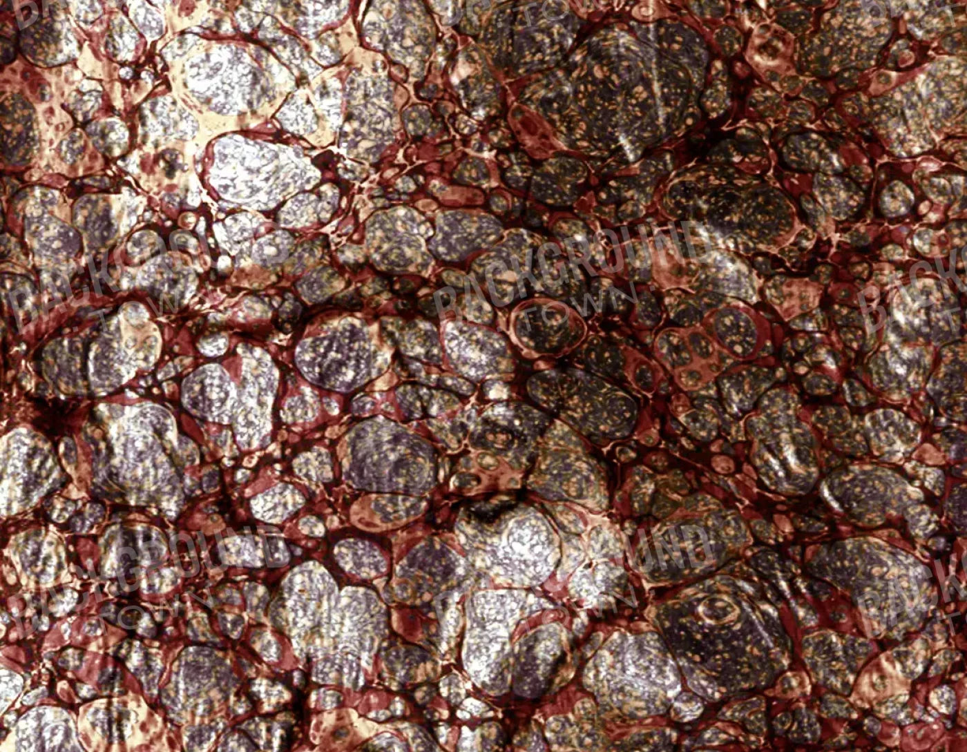 Recant 8X6 Fleece ( 96 X 72 Inch ) Backdrop