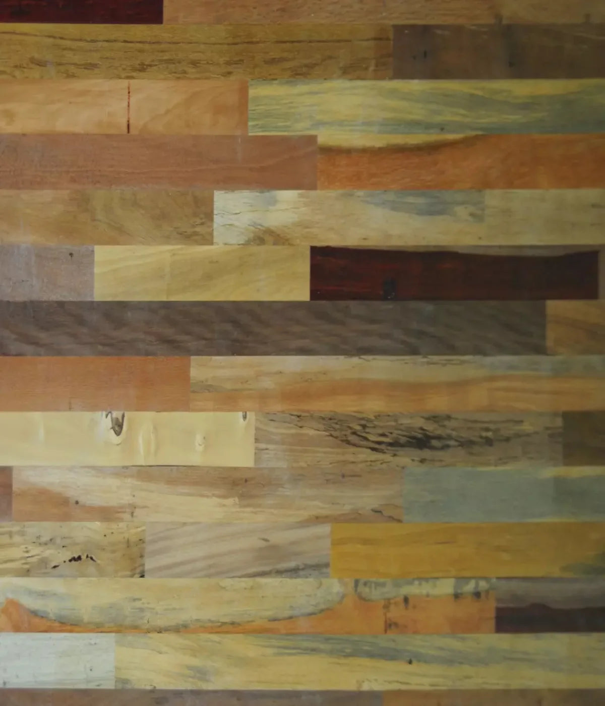 Recycled 10X12 Ultracloth ( 120 X 144 Inch ) Backdrop