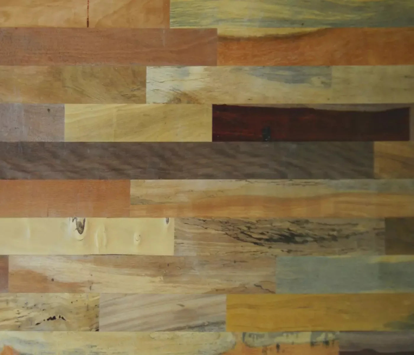 Recycled 12X10 Ultracloth ( 144 X 120 Inch ) Backdrop