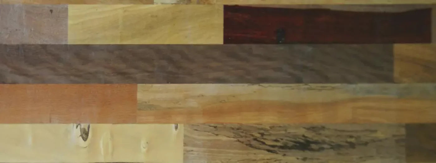 Recycled 20X8 Ultracloth ( 240 X 96 Inch ) Backdrop