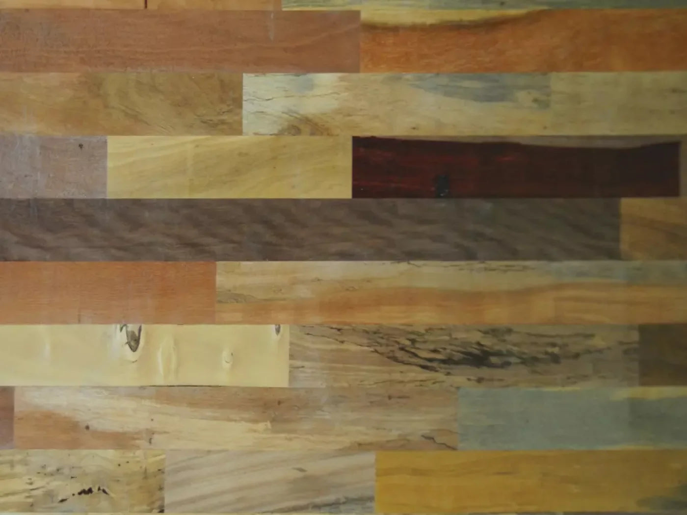 Recycled 68X5 Fleece ( 80 X 60 Inch ) Backdrop
