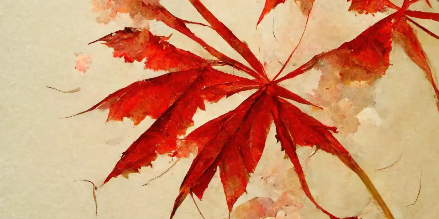 Red Maple 16’X8’ Ultracloth (192 X 96 Inch) Backdrop