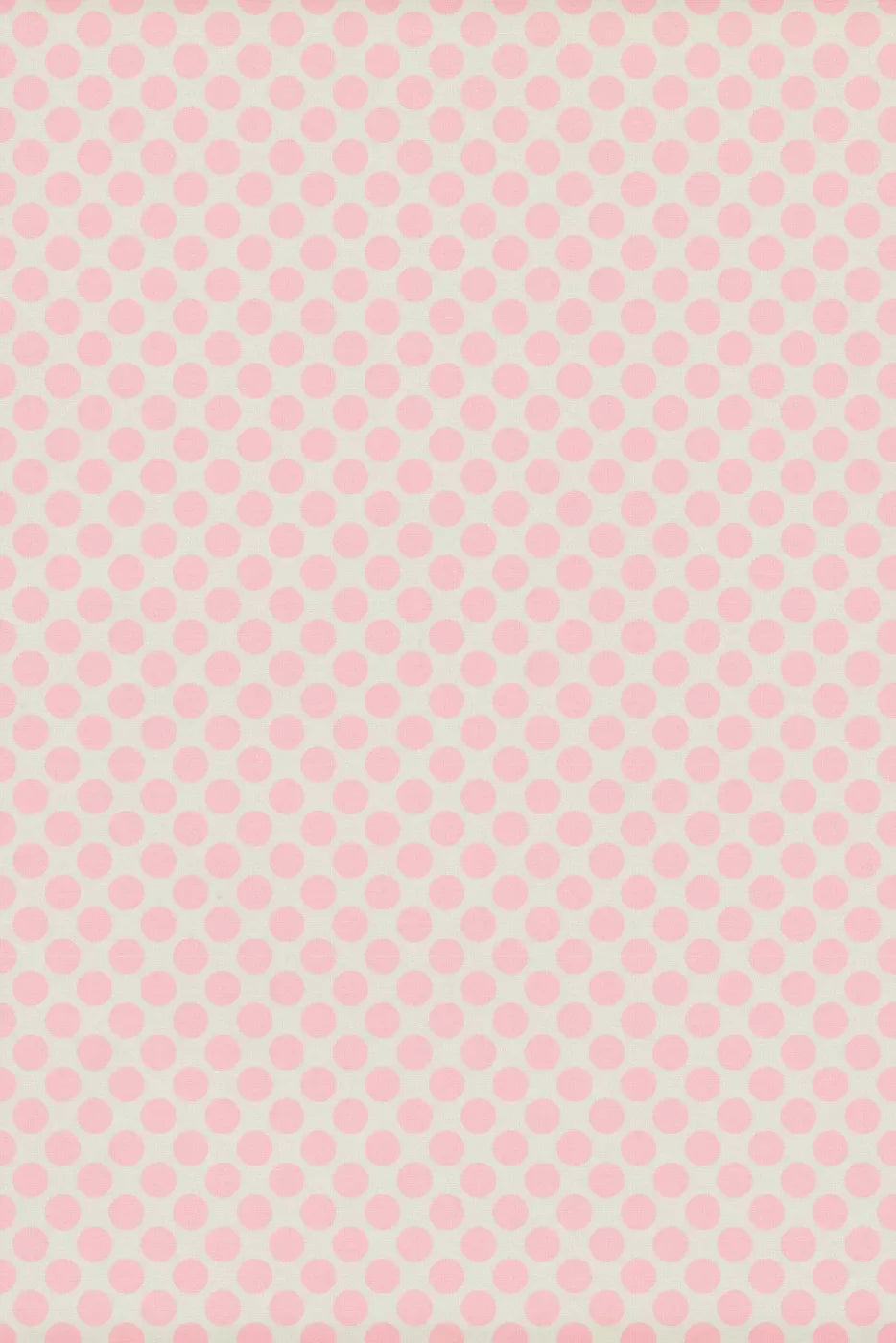 Reeva Backdrop