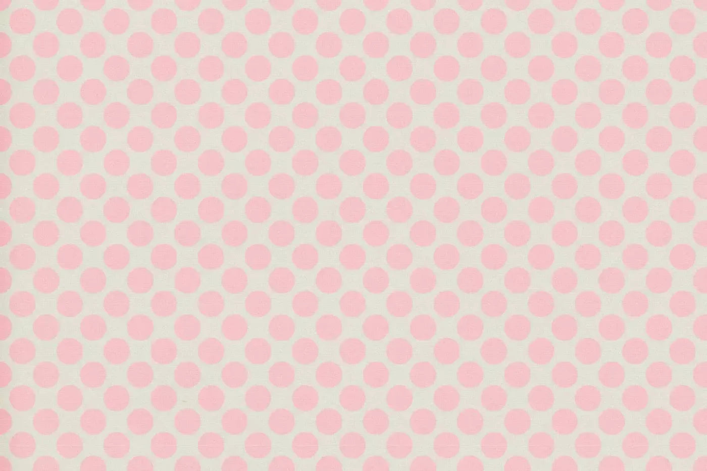 Reeva Backdrop