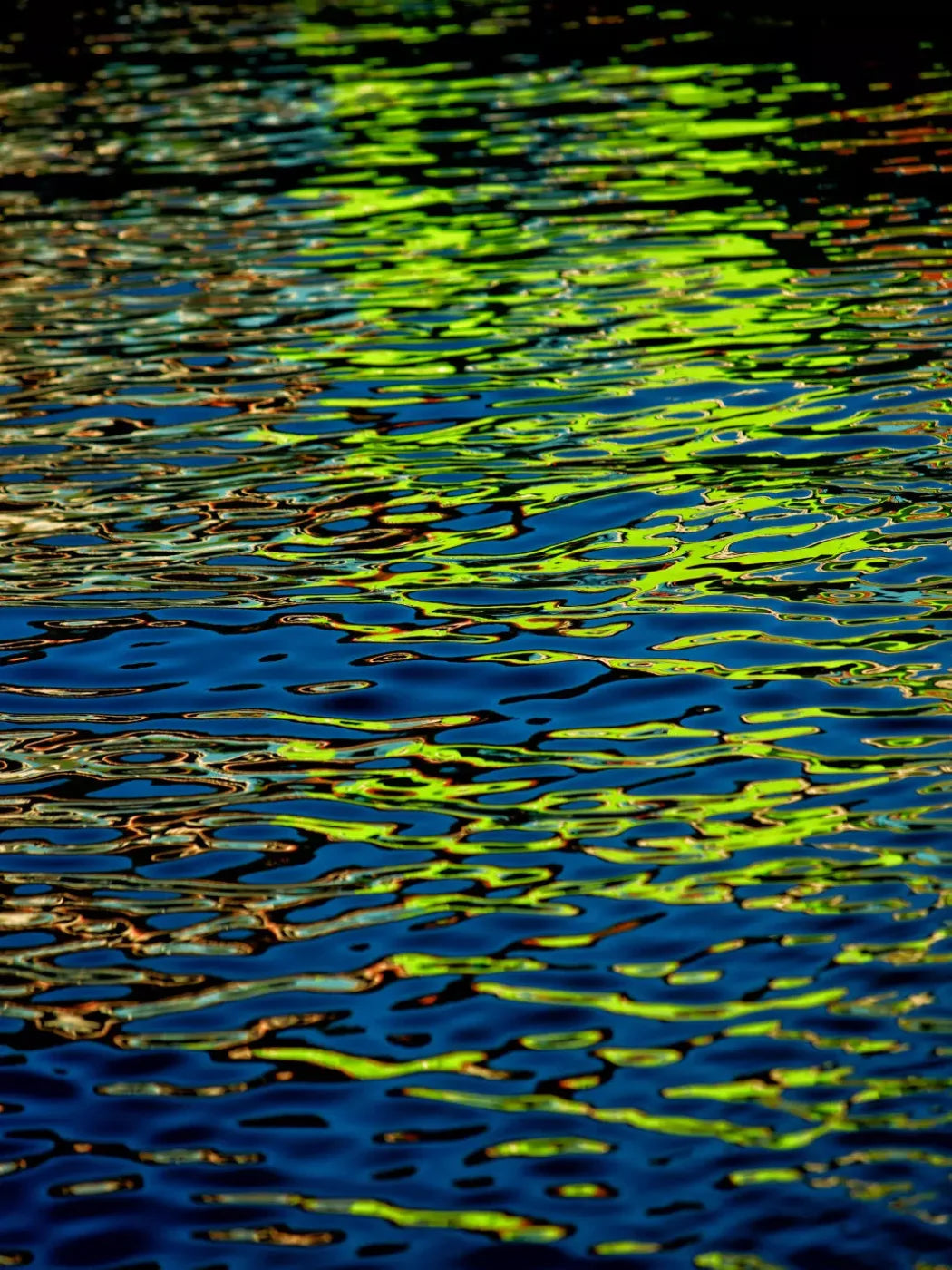 Reflections 5X68 Fleece ( 60 X 80 Inch ) Backdrop