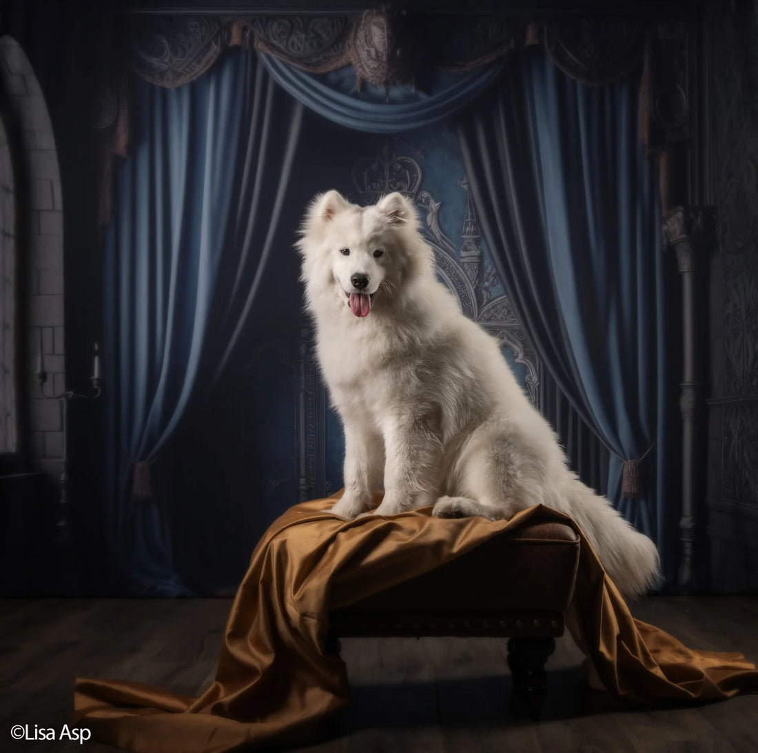 Regal Blue Bedroom Backdrop