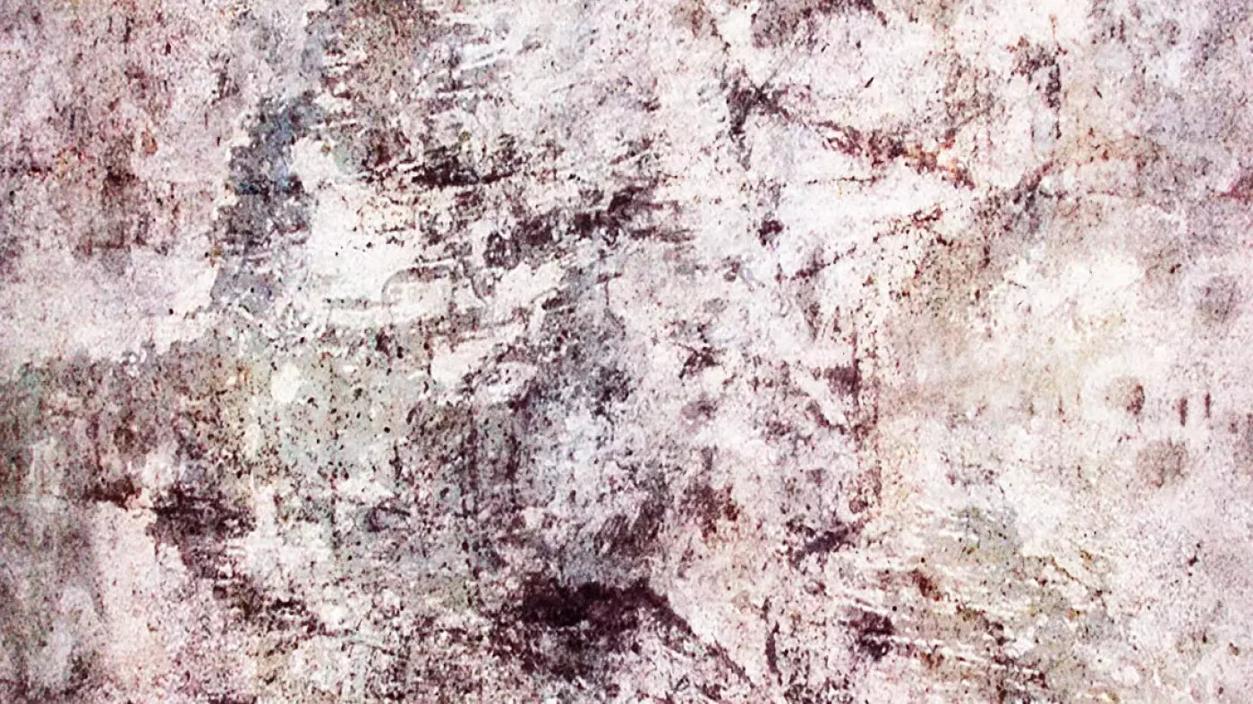 Regard 14’X8’ Ultracloth (168 X 96 Inch) Backdrop