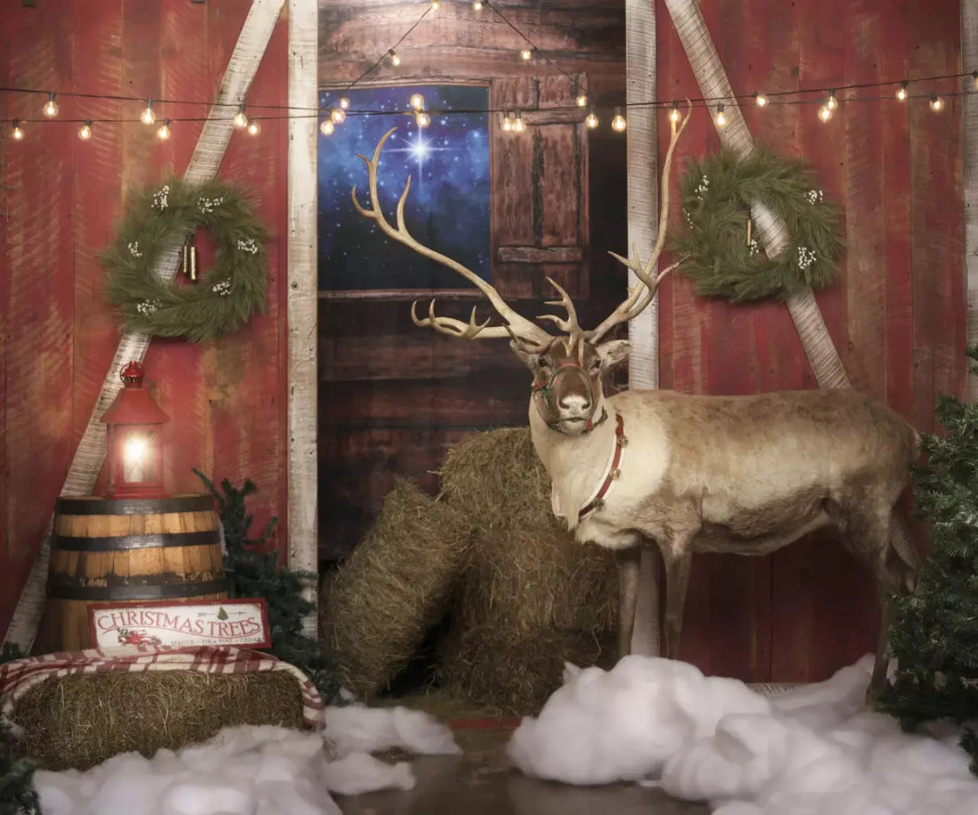 Reindeer Barn 5X42 Fleece ( 60 X 50 Inch ) Backdrop