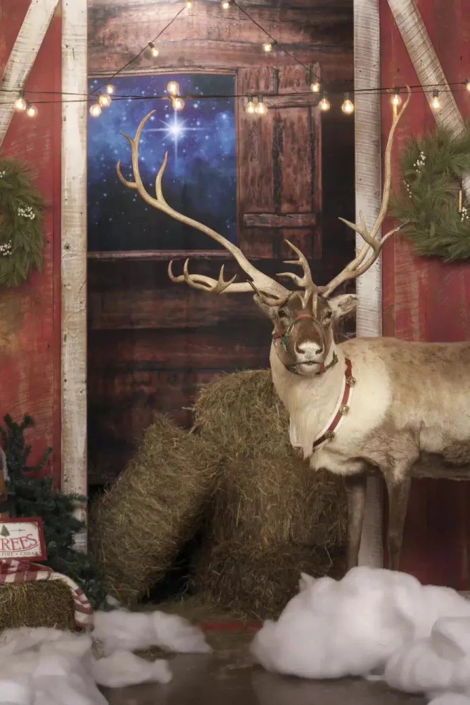 Reindeer Barn Backdrop