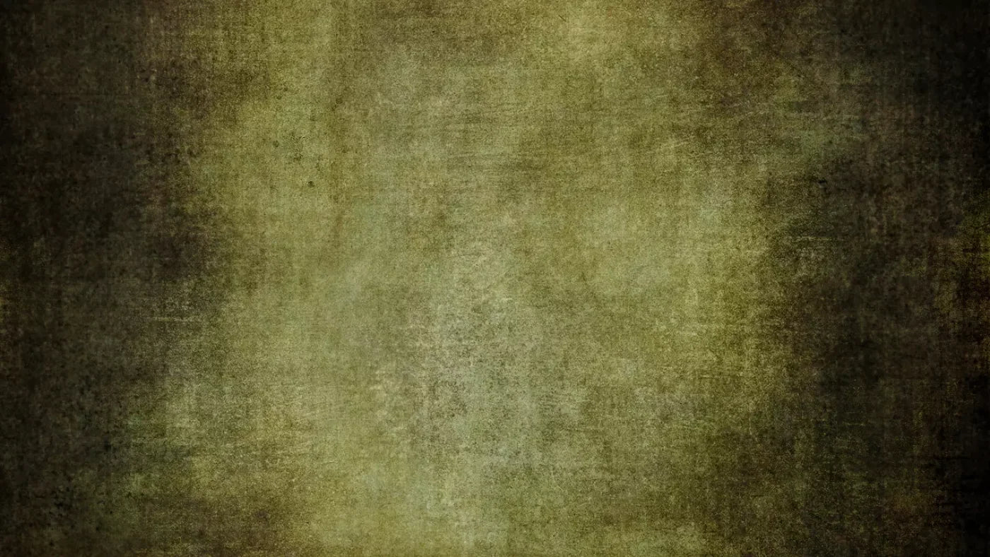 Rembrandt 14X8 Ultracloth ( 168 X 96 Inch ) Backdrop