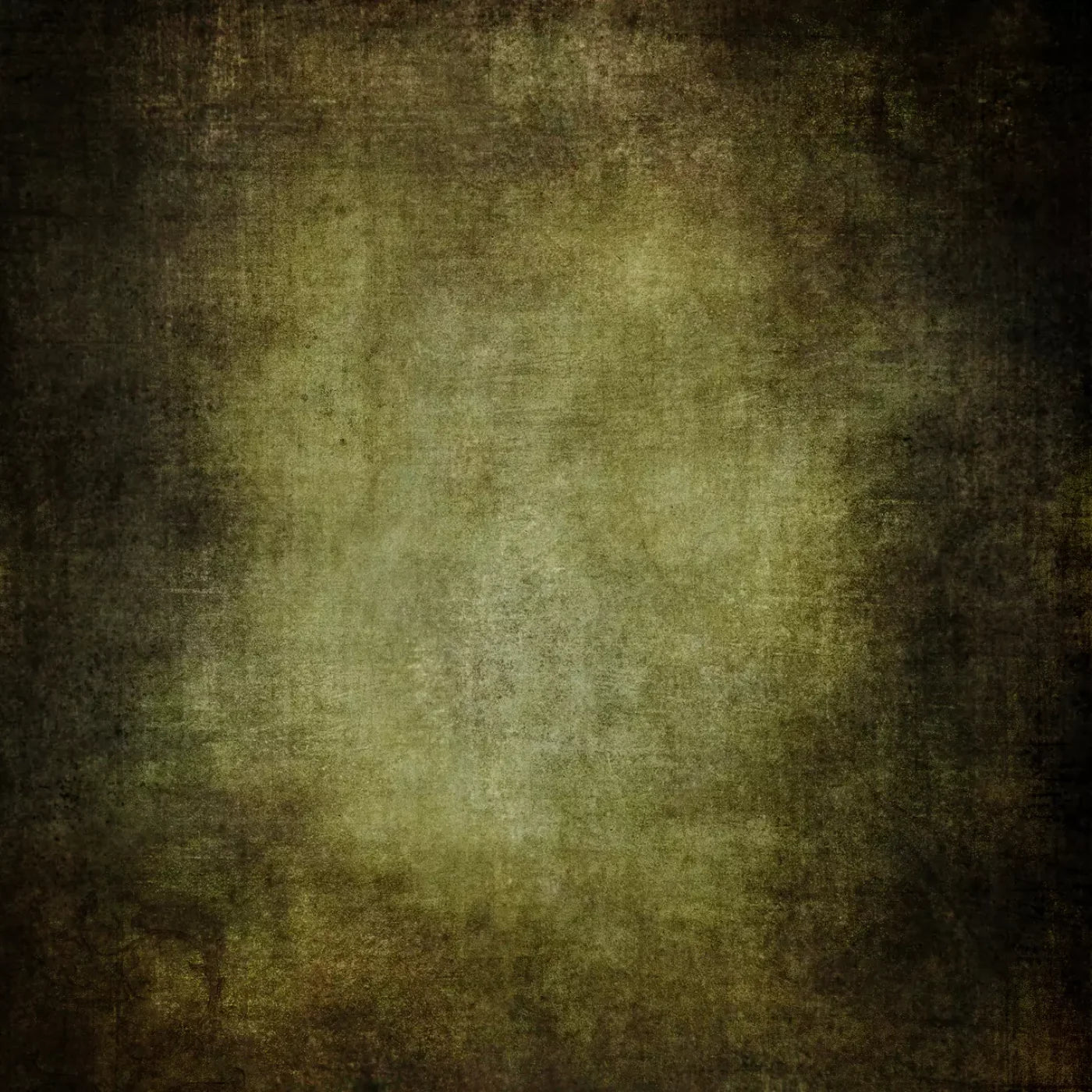 Rembrandt Backdrop