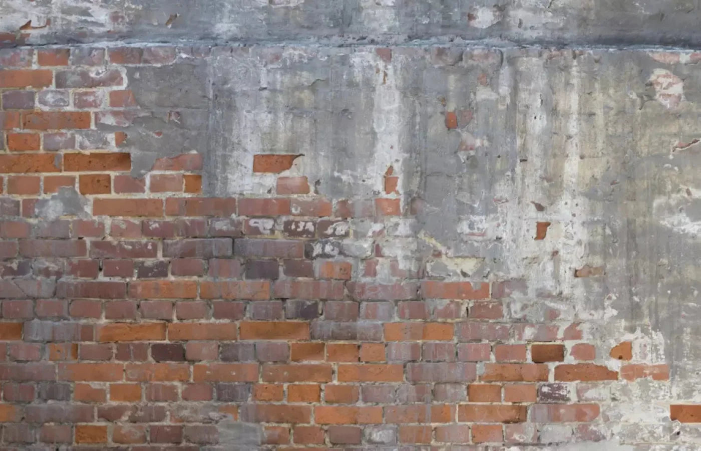 Renovation 12X8 Ultracloth ( 144 X 96 Inch ) Backdrop