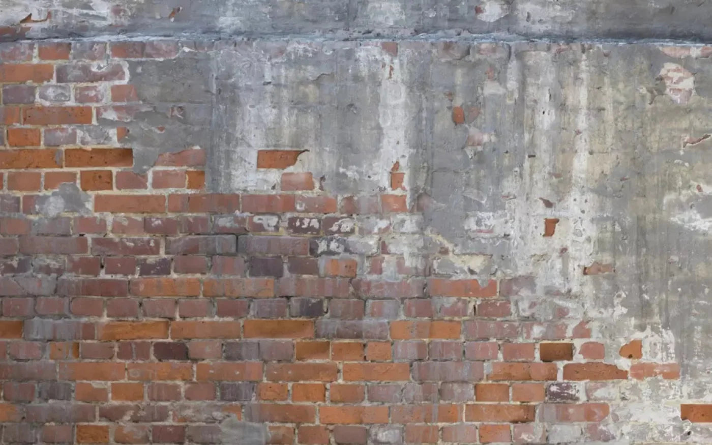 Renovation 14X9 Ultracloth ( 168 X 108 Inch ) Backdrop