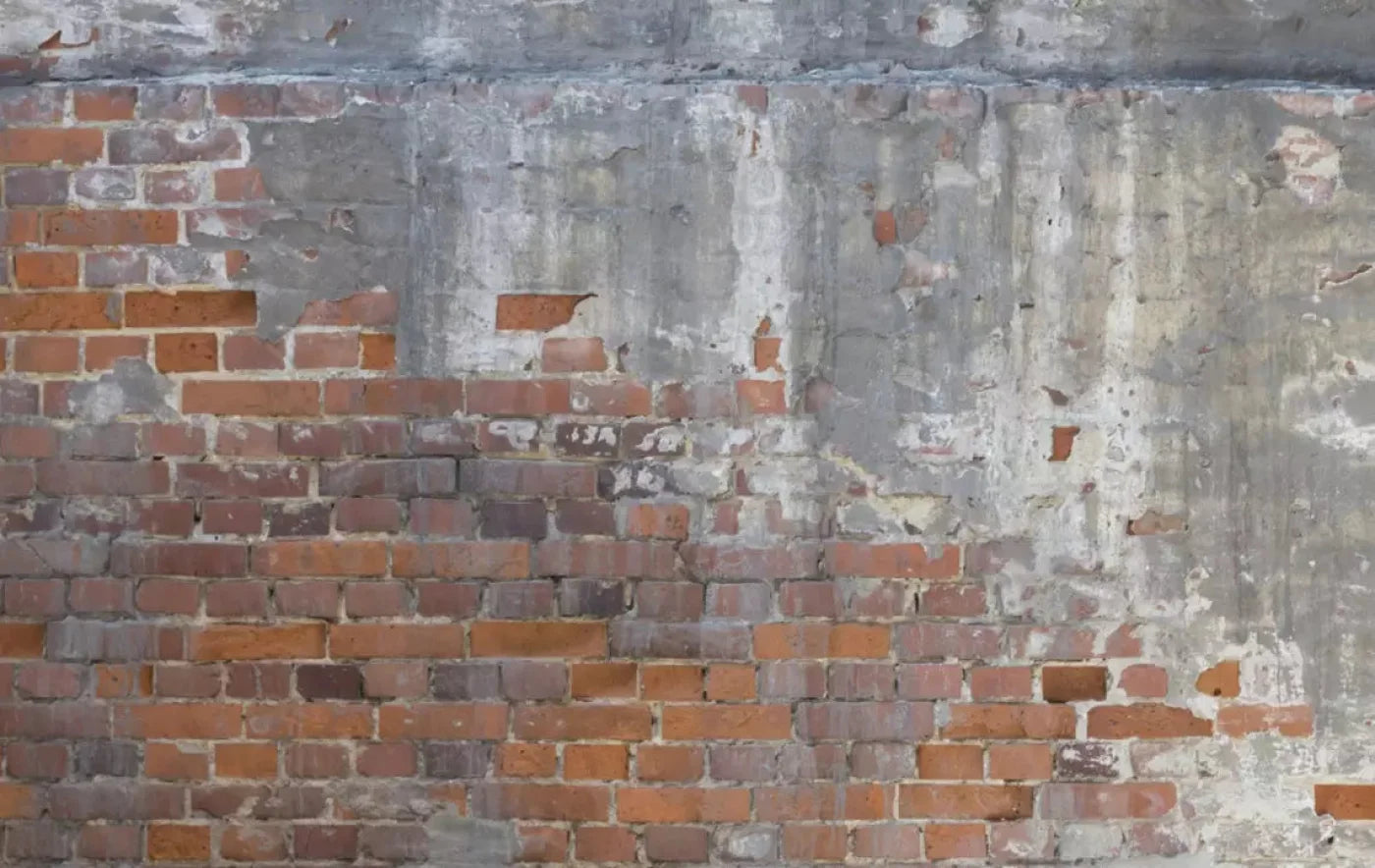 Renovation 16X10 Ultracloth ( 192 X 120 Inch ) Backdrop