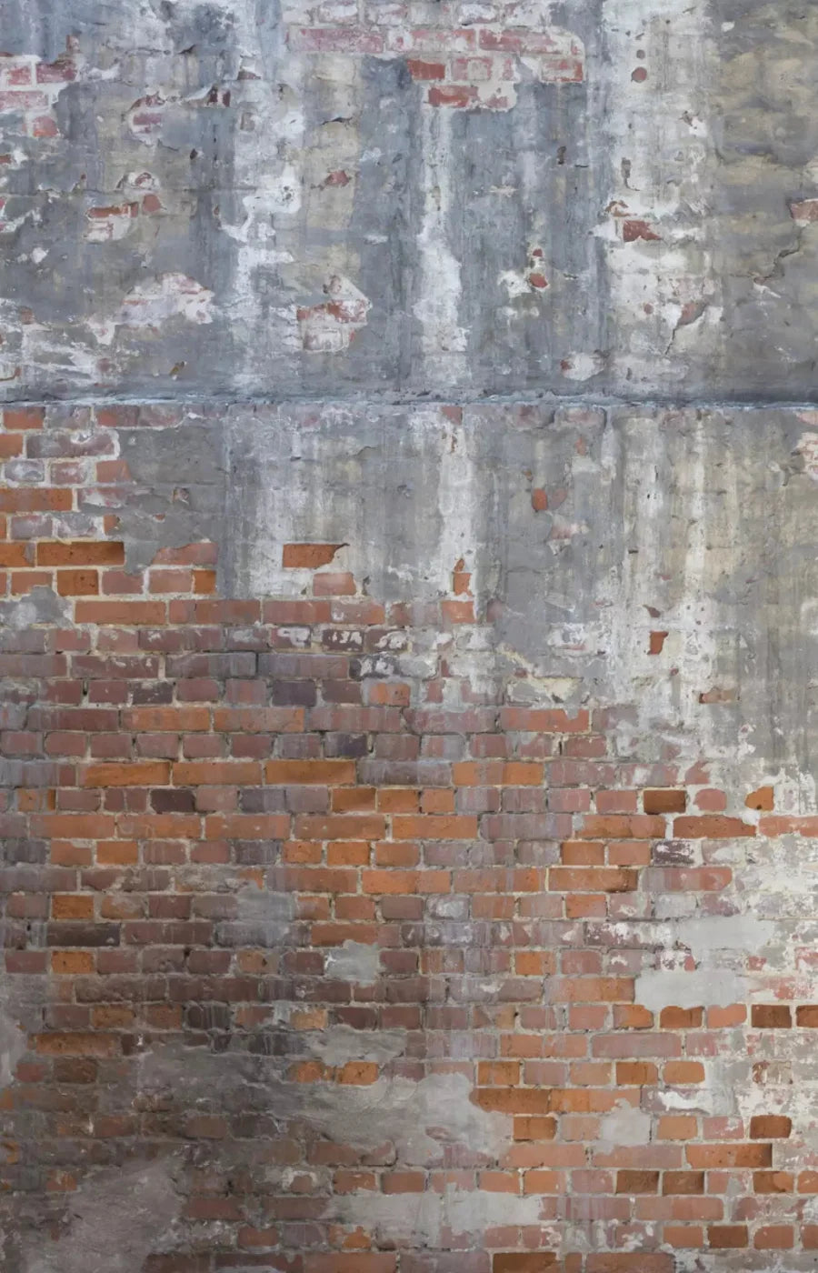 Renovation 8X12 Ultracloth ( 96 X 144 Inch ) Backdrop