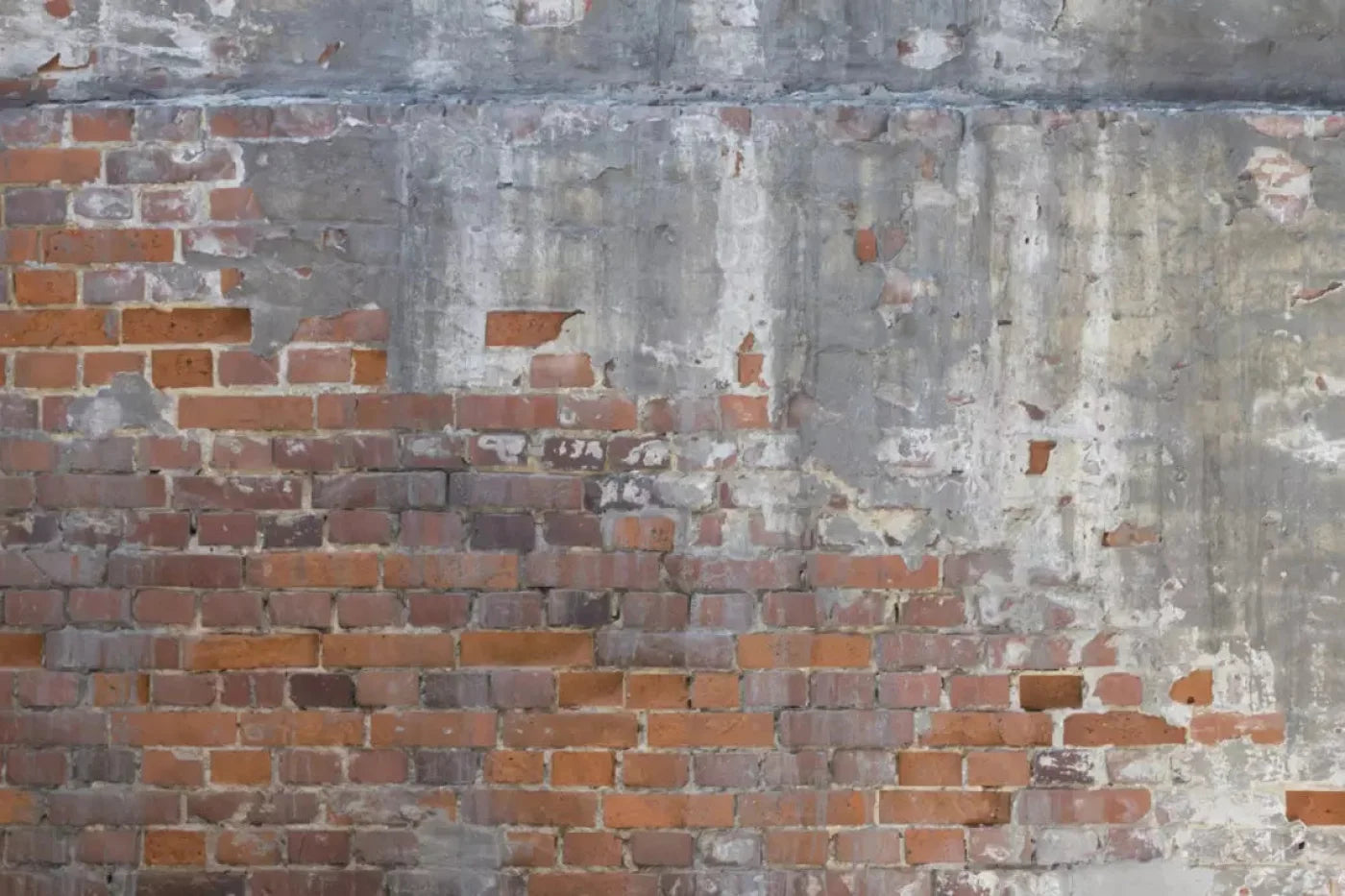 Renovation 8X5 Ultracloth ( 96 X 60 Inch ) Backdrop