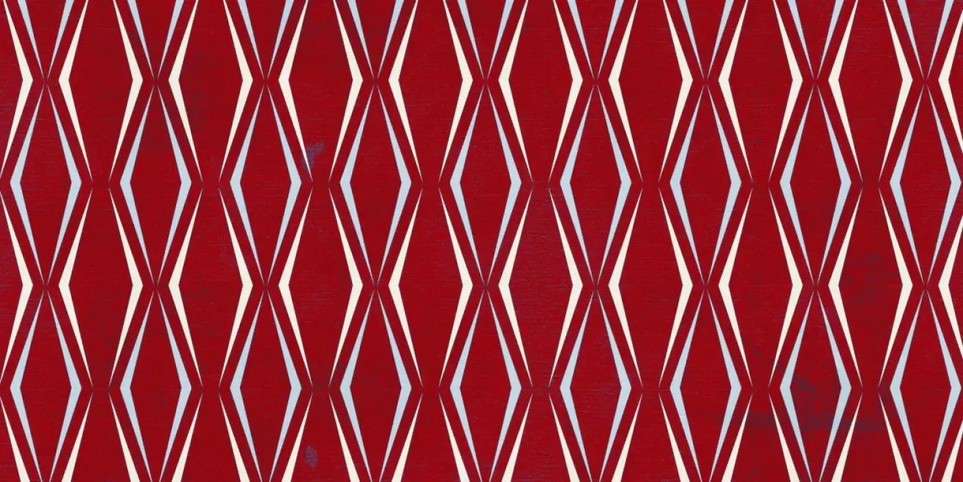Ricker 20X10 Ultracloth ( 240 X 120 Inch ) Backdrop