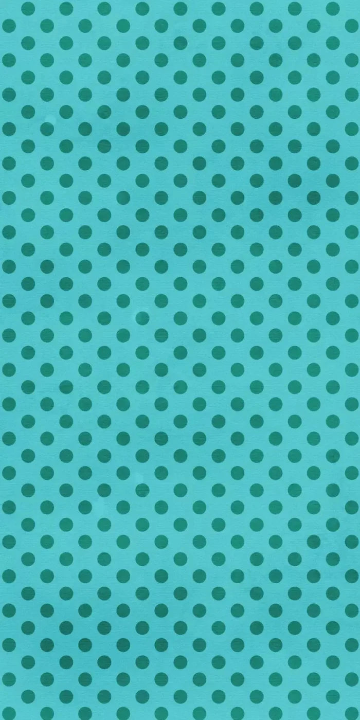 Rico 10X20 Ultracloth ( 120 X 240 Inch ) Backdrop