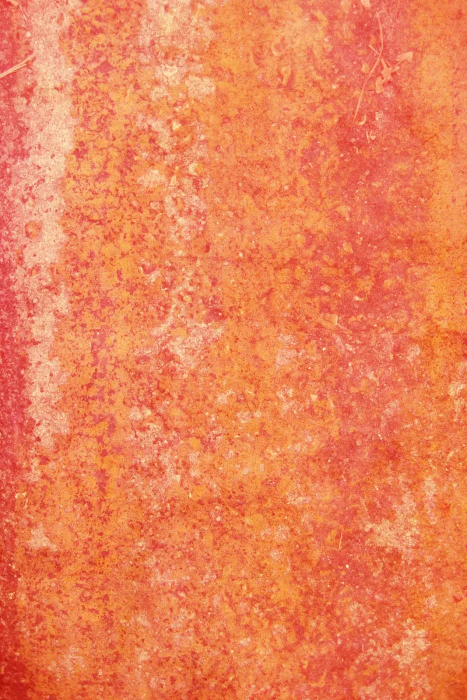 Rilynn Backdrop